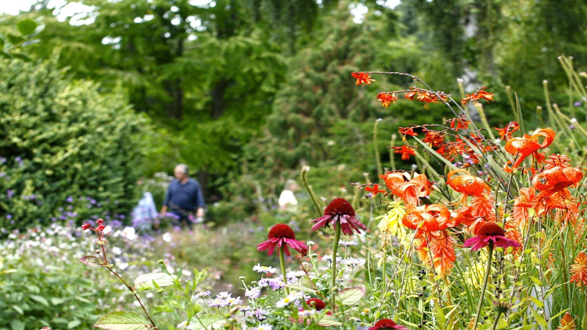 Great Comp Gardens near Borough Green holds its Summer Show this weekend
