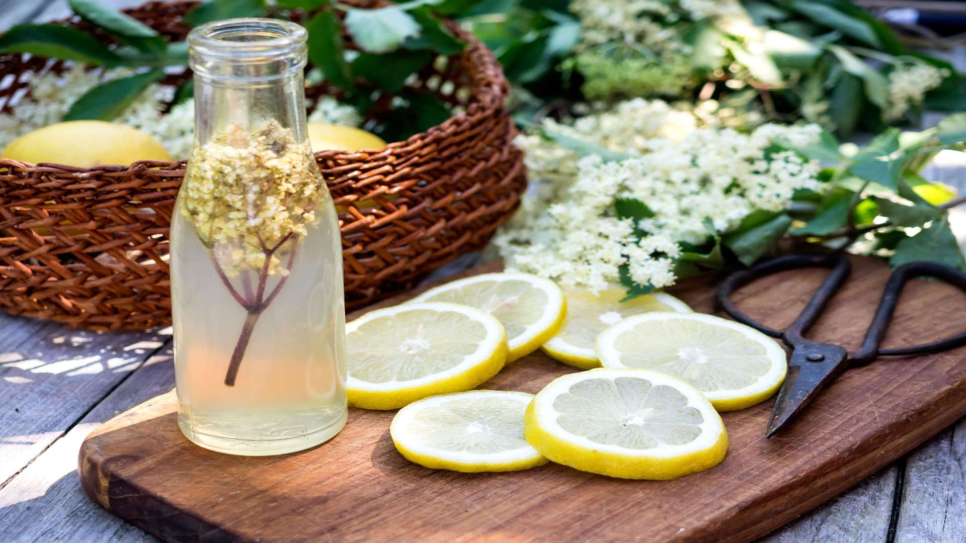 Try making your own elderflower wine