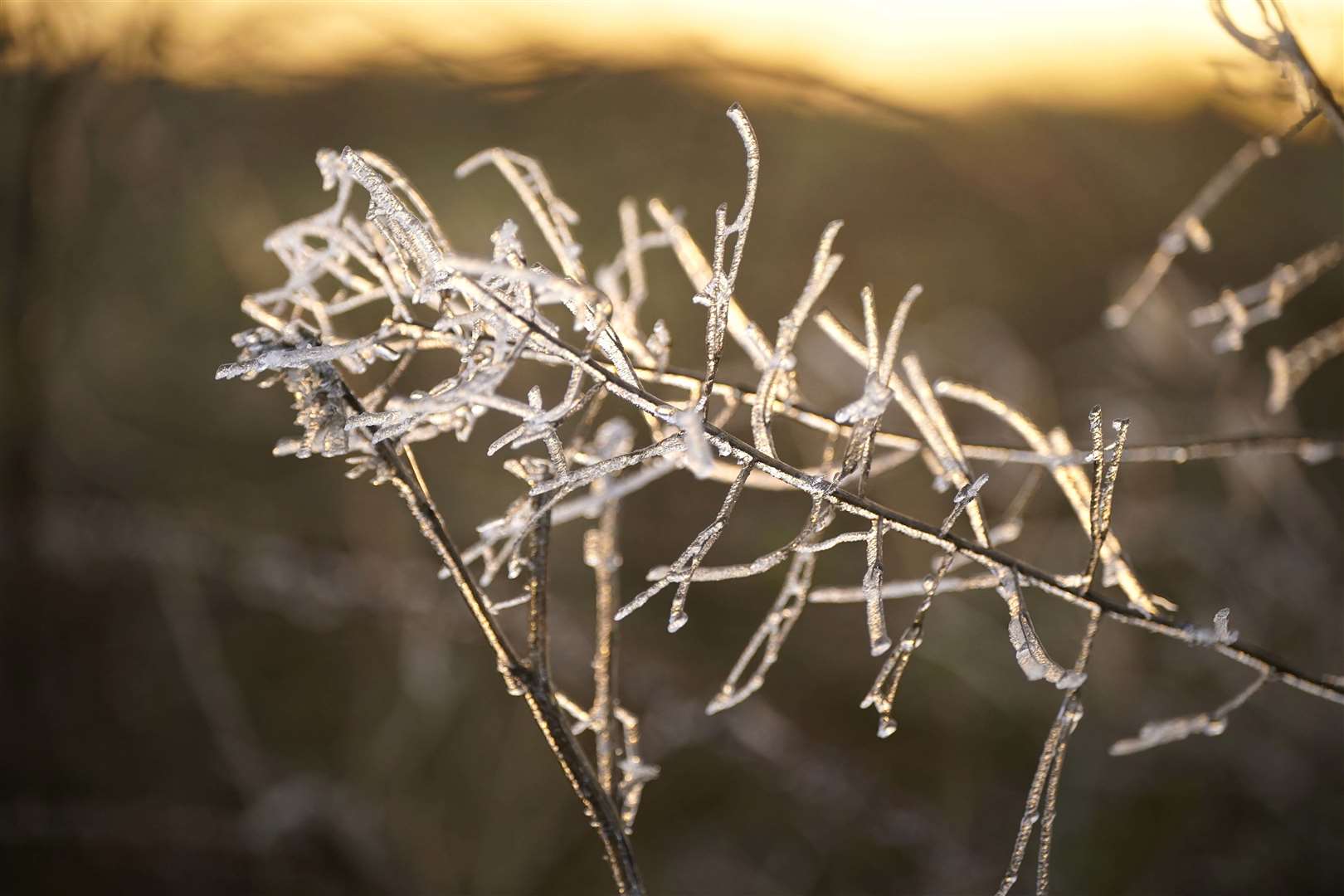 Temperatures in Ireland were expected to drop to minus 5C overnight (Niall Carson/PA)