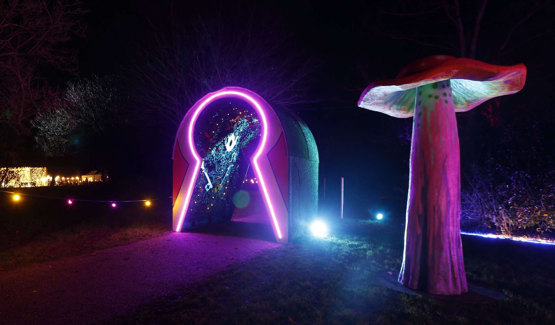 Winter light trail returns to Cobtree Manor Park, Aylesford