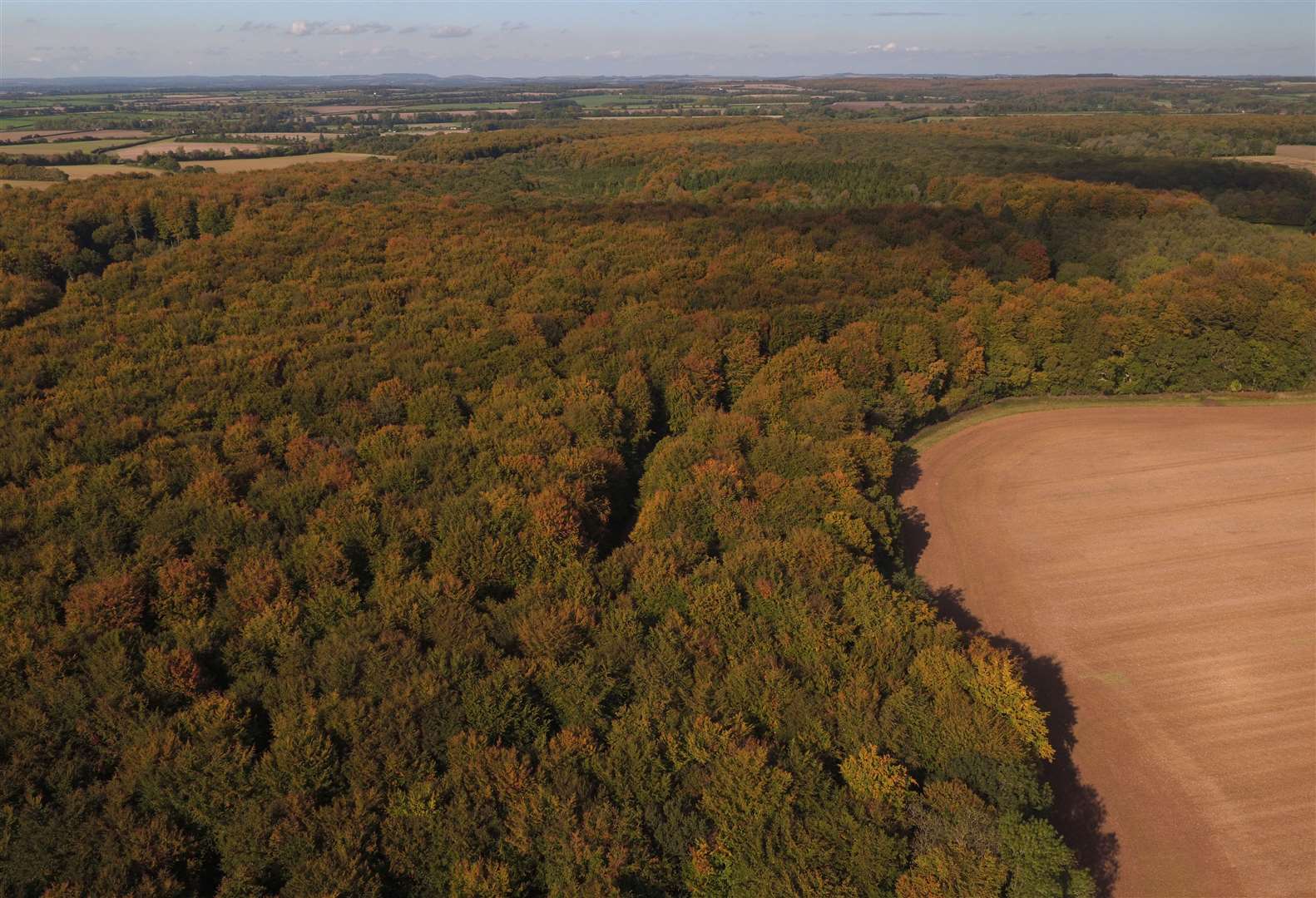 Around 13% of the UK is wooded (Andrew Matthews/PA)