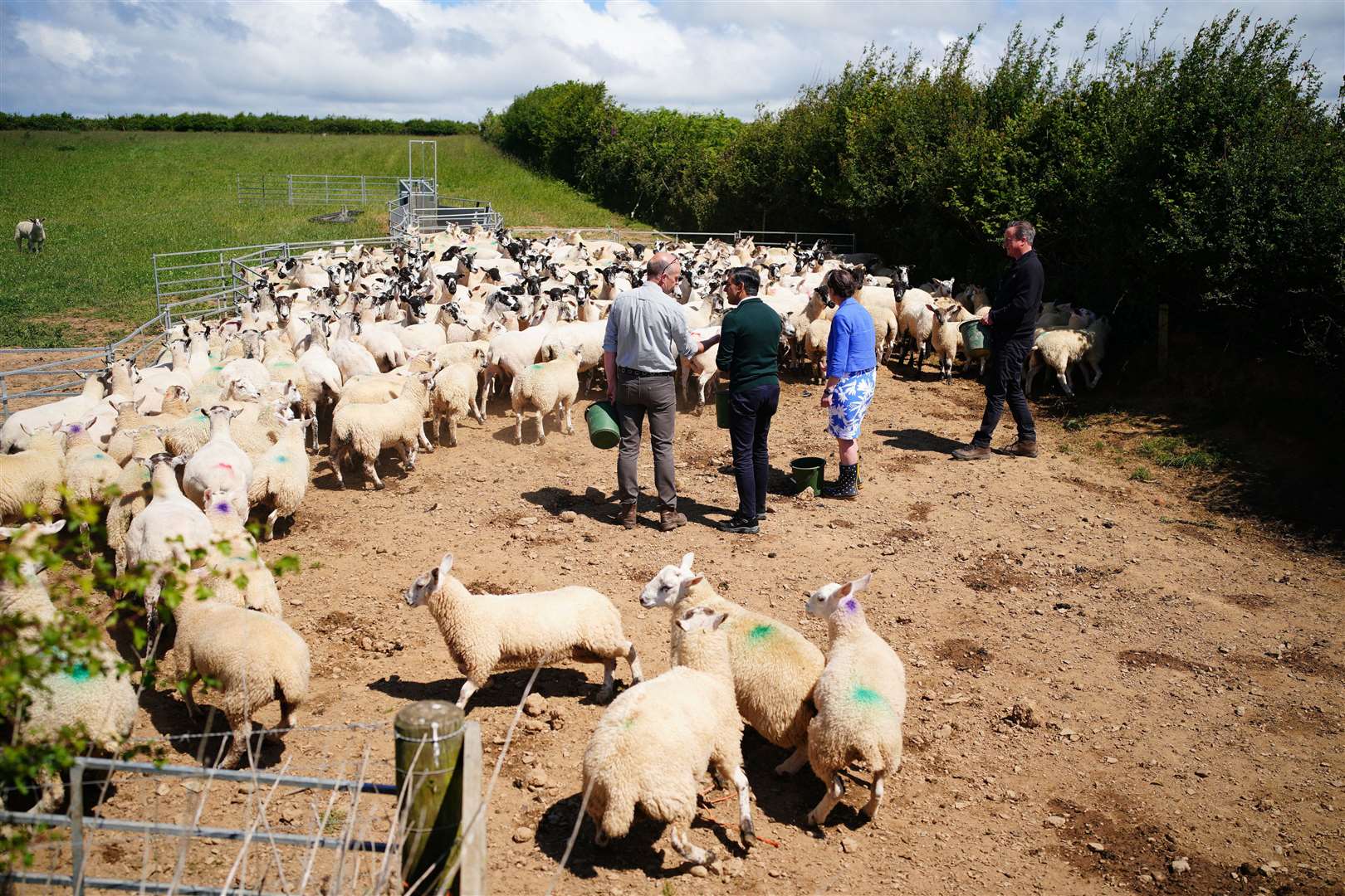 (left to right) Farmer David Chugg, Prime Minister Rishi Sunak, parliamentary candidate for North Devon Selaine Saxby and Foreign Secretary Lord David Cameron feed sheep during a visit to a farm in Devon (Ben Birchall/PA)