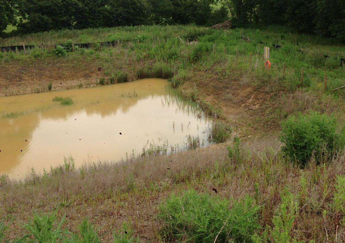 The brickworks lagoon at Iwade