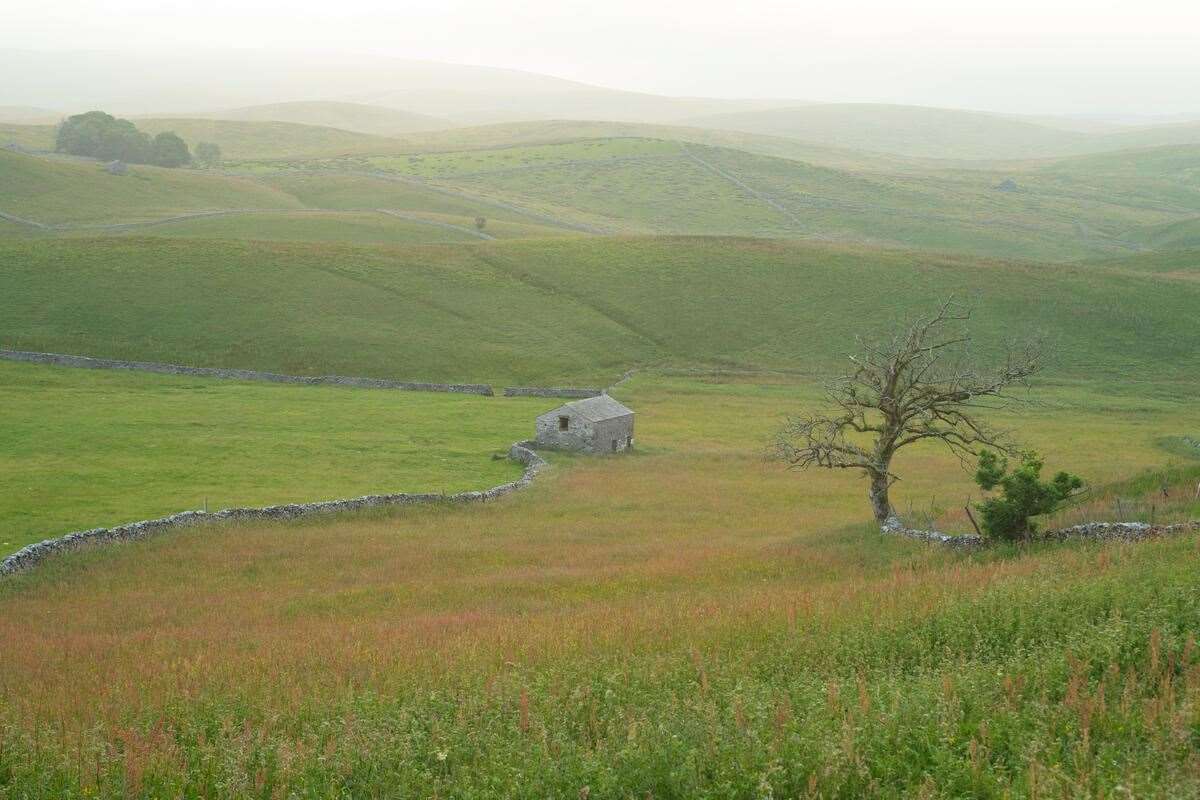 The contrast between heavily grazed land and ground left more natural, in Yorkshire (Andrew Parkinson/WWF-UK/PA)