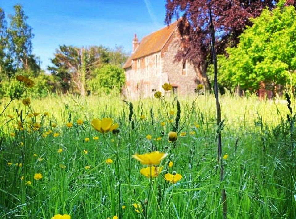 The Franciscan Gardens in Canterbury are home to an exceptional display of ornamental flowers