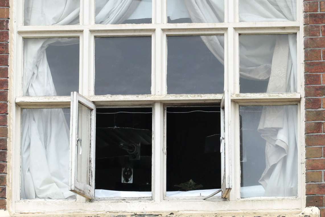 Some of the plants are visible through the open window