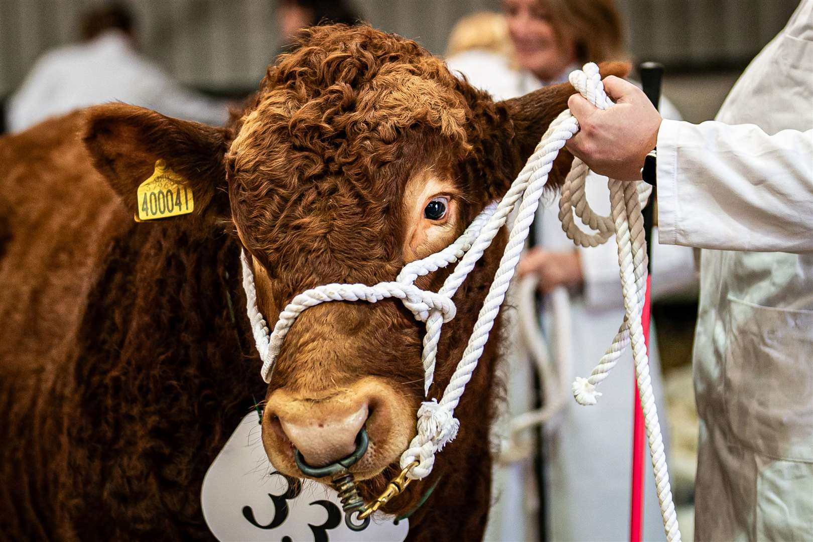 This animal was ready for its close-up (Ben Birchall/PA)