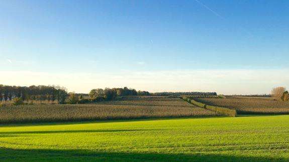 The beautiful north Downs near Bridge (5497302)