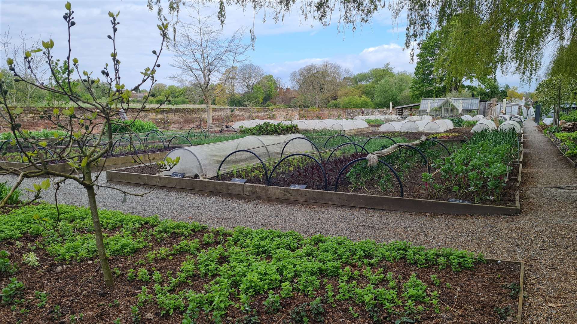 The Pig’s cottage garden provides much of the restaurant’s produce