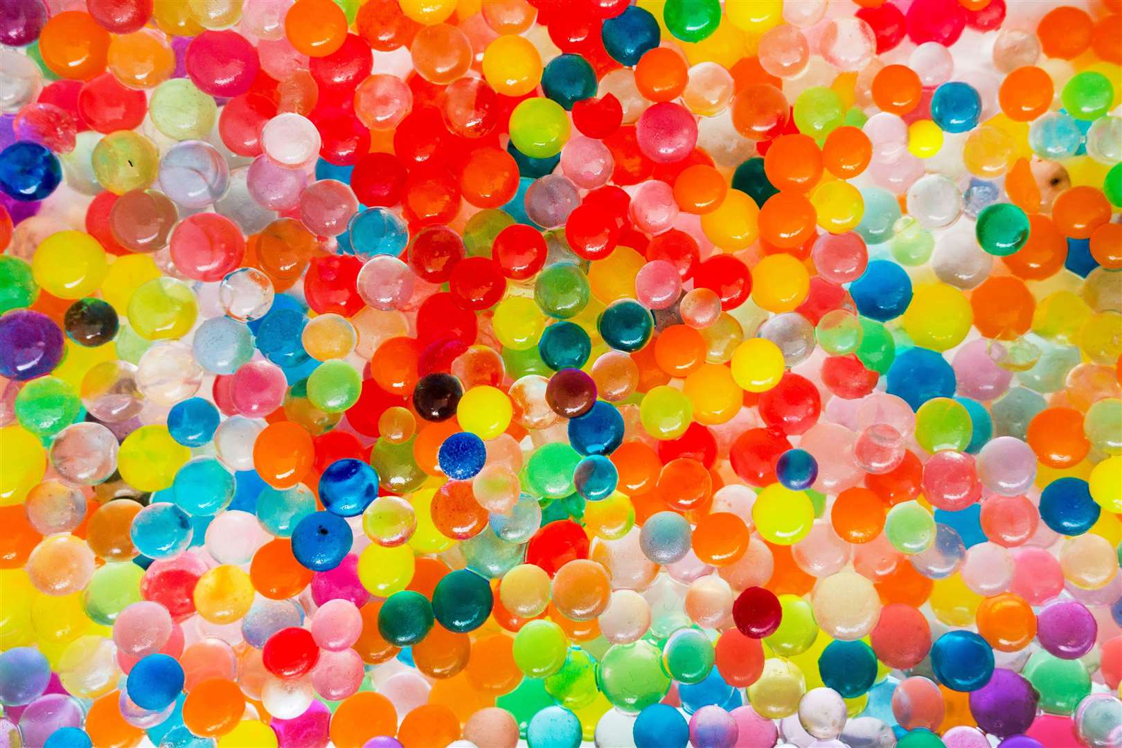 The beads can grow to 400 times their size in around 36 hours (Alamy/PA)