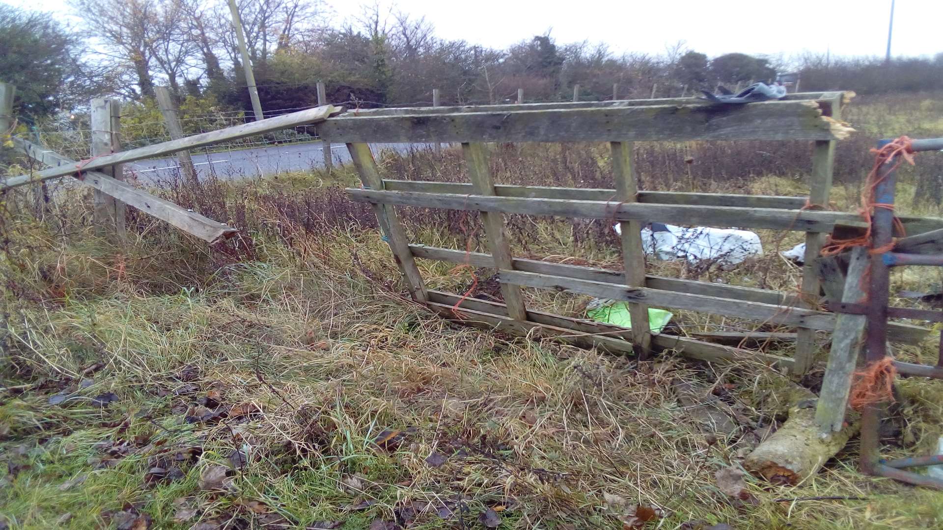 A car drove through a fence and into the field in Whitstable Road