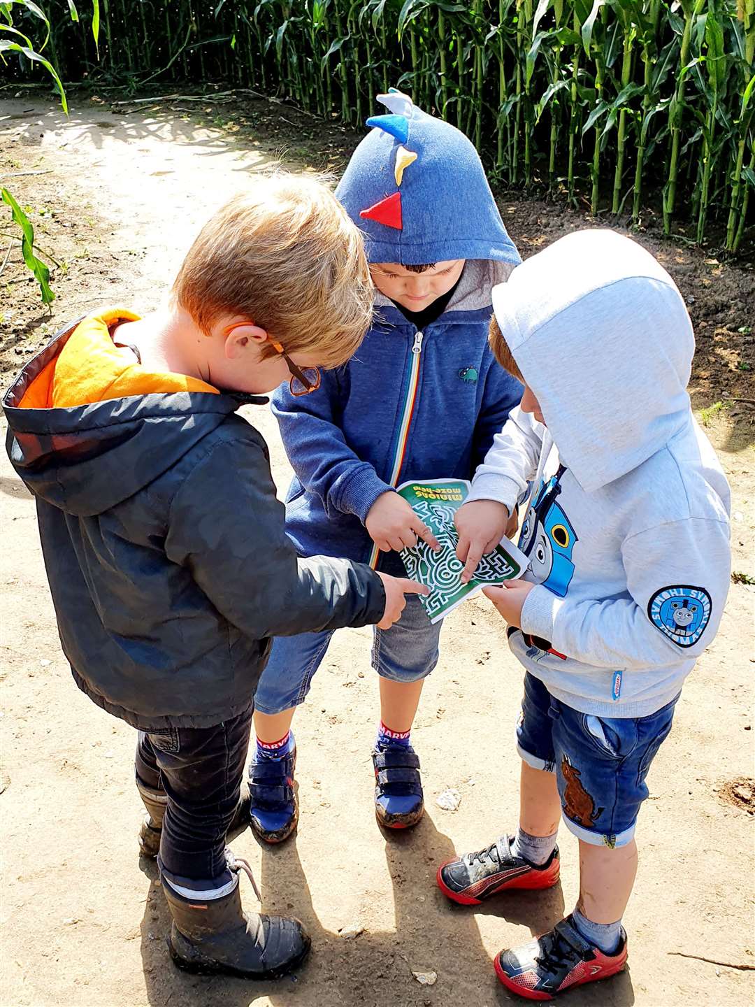 Friends, Max, Thomas and Henry finding their way around the Maze. Pic: Kathy West