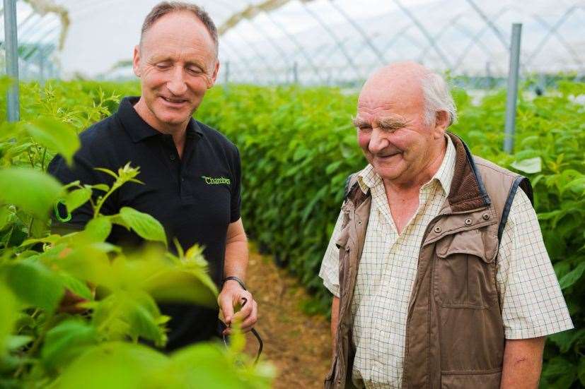 Tim and John Chambers at their fruit farm. Picture: Citypress