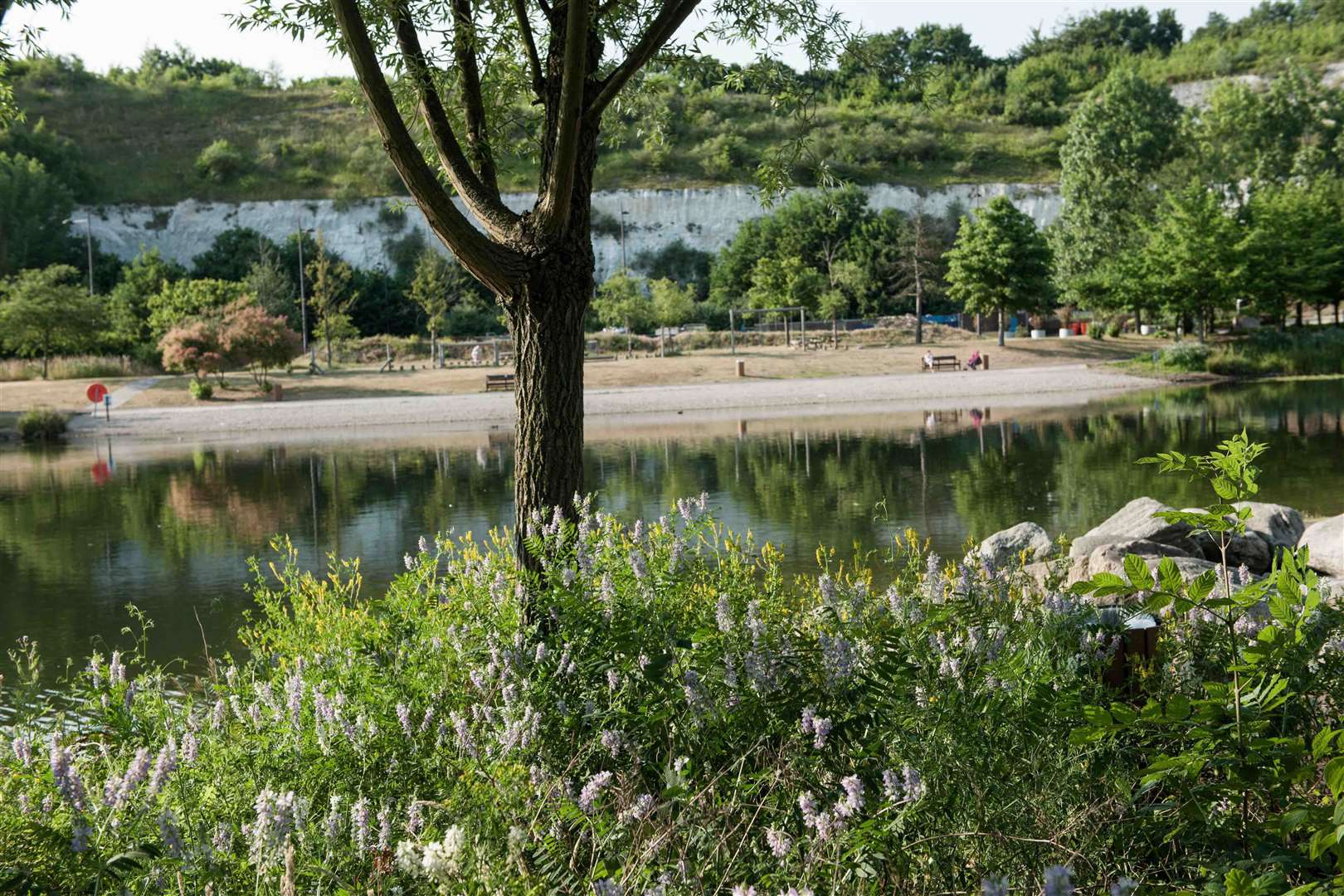 The lakes and parkland at Bluewater have won awards and are home for many creatures