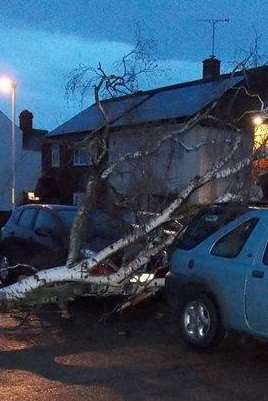 An upturned tree landed on vehicles in Hartshill Road, Northfleet