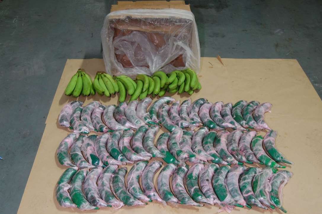 The drugs were concealed inside the bananas