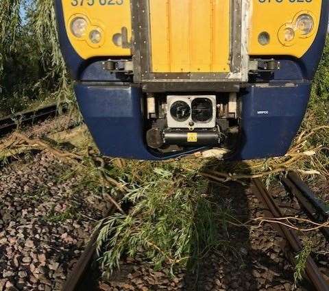 A tree has fallen on the line at Whitstable. Picture: Southeastern / Twitter