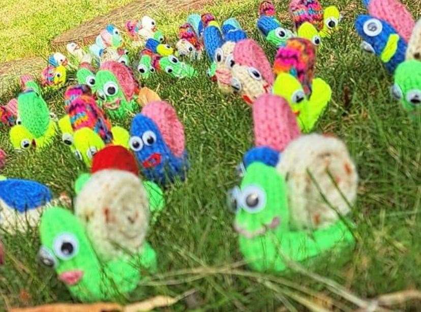 Snails are on offer for trick-or-treaters at Mrs Crow's house in Iwade. Picture: Suzanne Crow