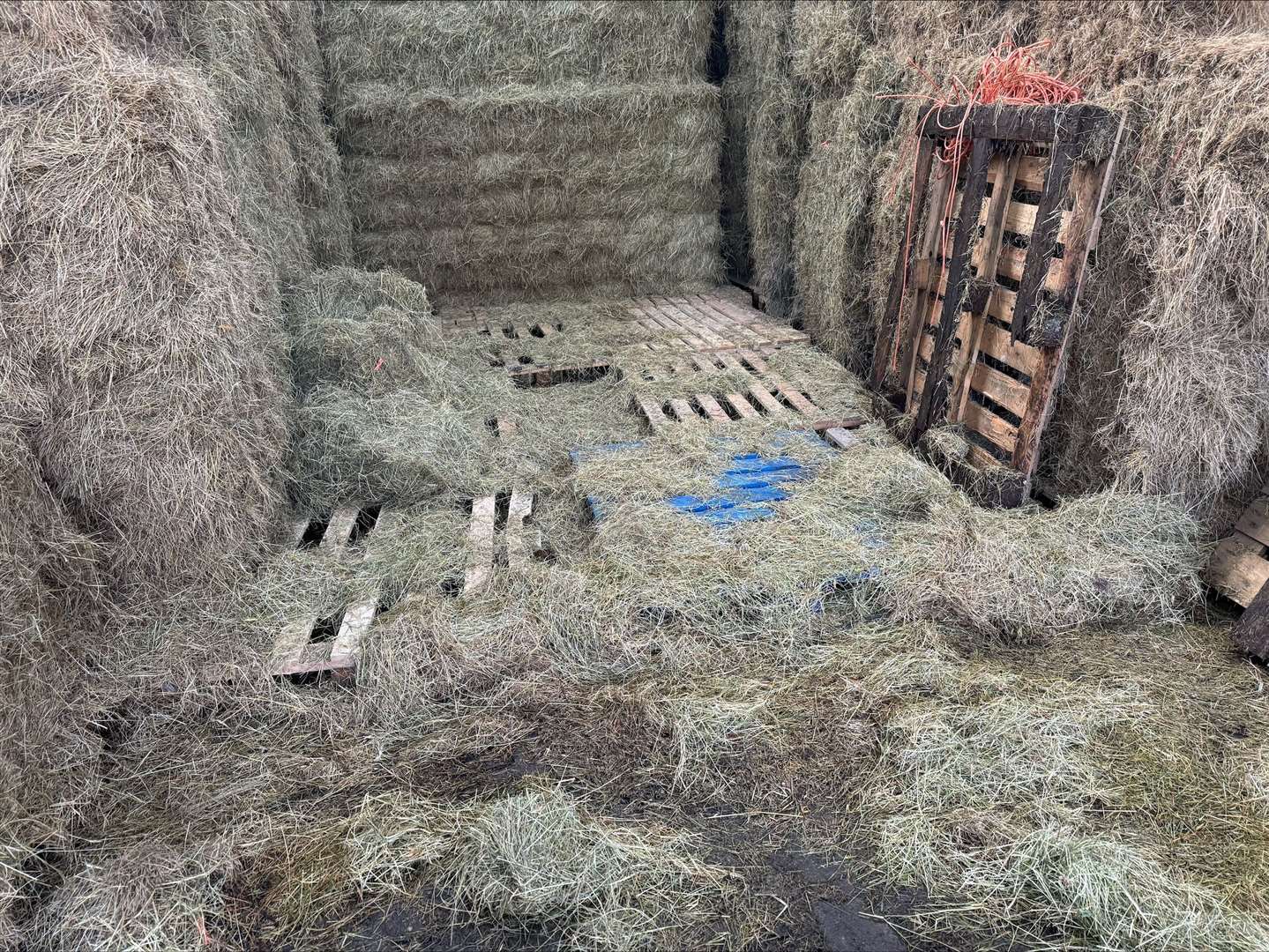 The ruined hay at Alan Dean's farm