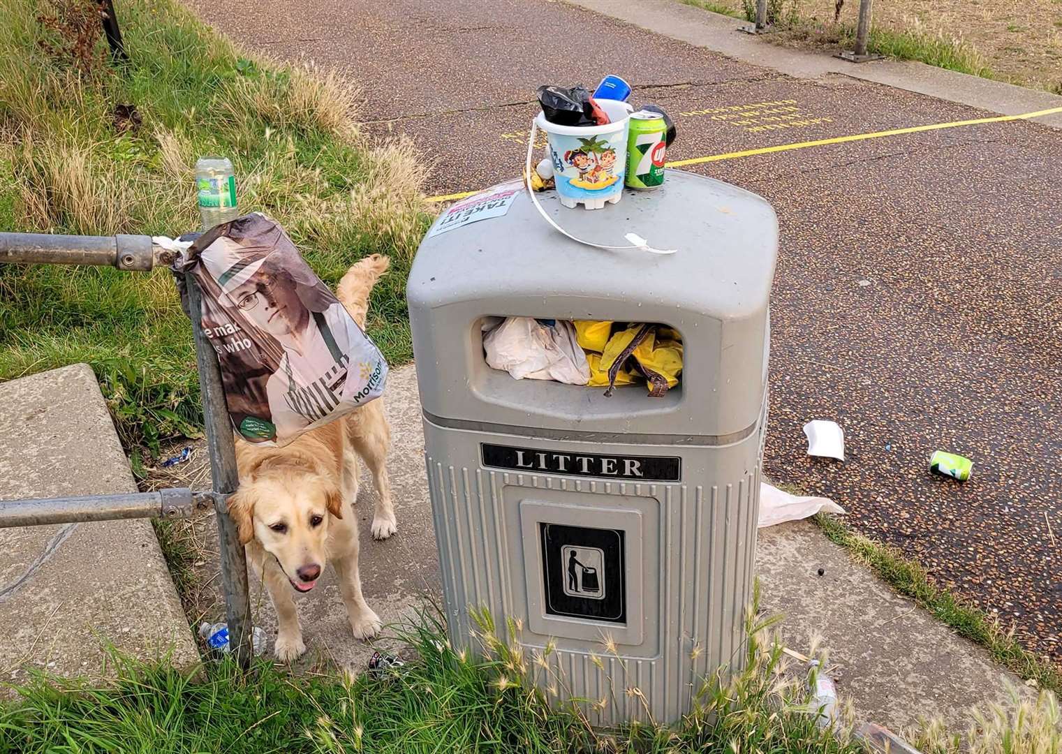 A fed-up resident has hit out at the council for not collecting the waste in Whitstable