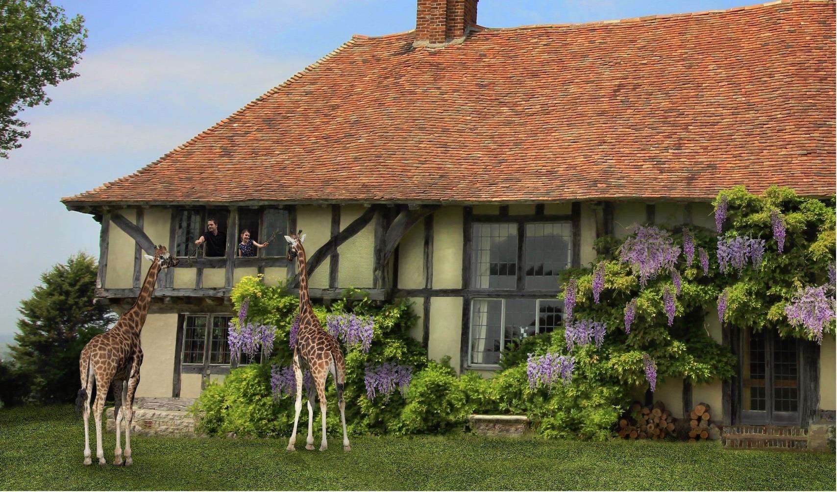 Giraffe Manor concept art