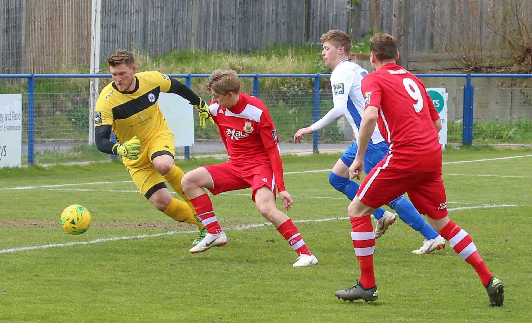 Harry Stannard in action for Whitstable against Haywards Heath (8349833)