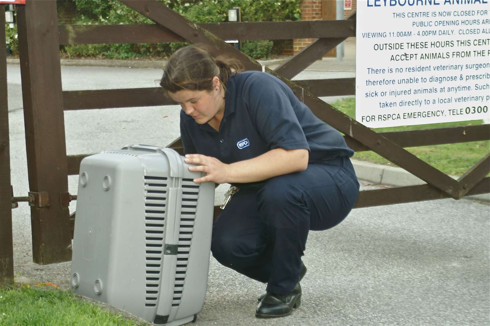 The Leybourne Animal Centre continues to take in abandoned pets... Picture Mike Dooley