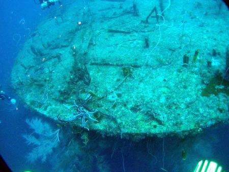 Wreck of the Bianca C