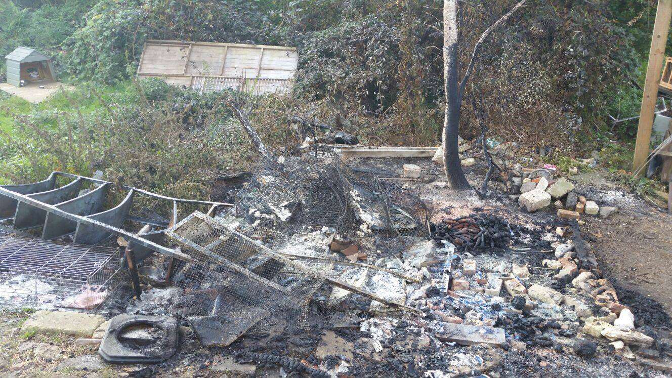 The remains of the quarantine building at Second Chance Animal Rescue shelter