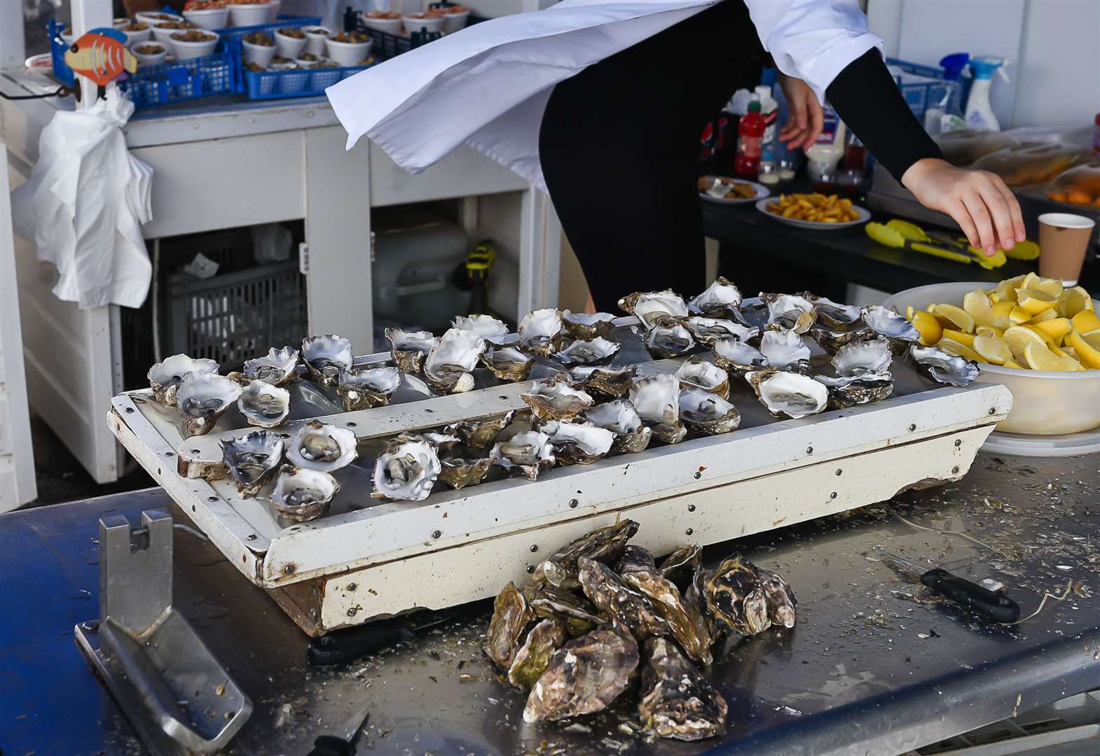 The EU has placed restrictions on live shellfish exports