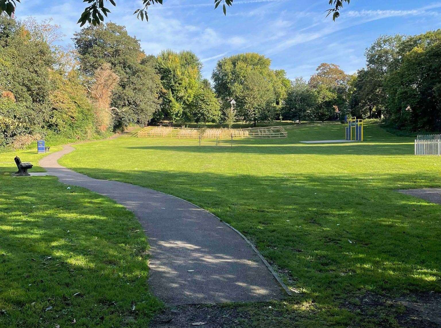 Trees planted in Cornwallis park in Tonbridge Road, near Maidstone. Picture: Ed Birch