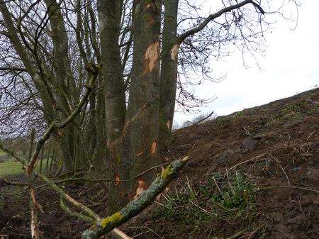 Scene of a double fatal crash on the A20 at Charing.