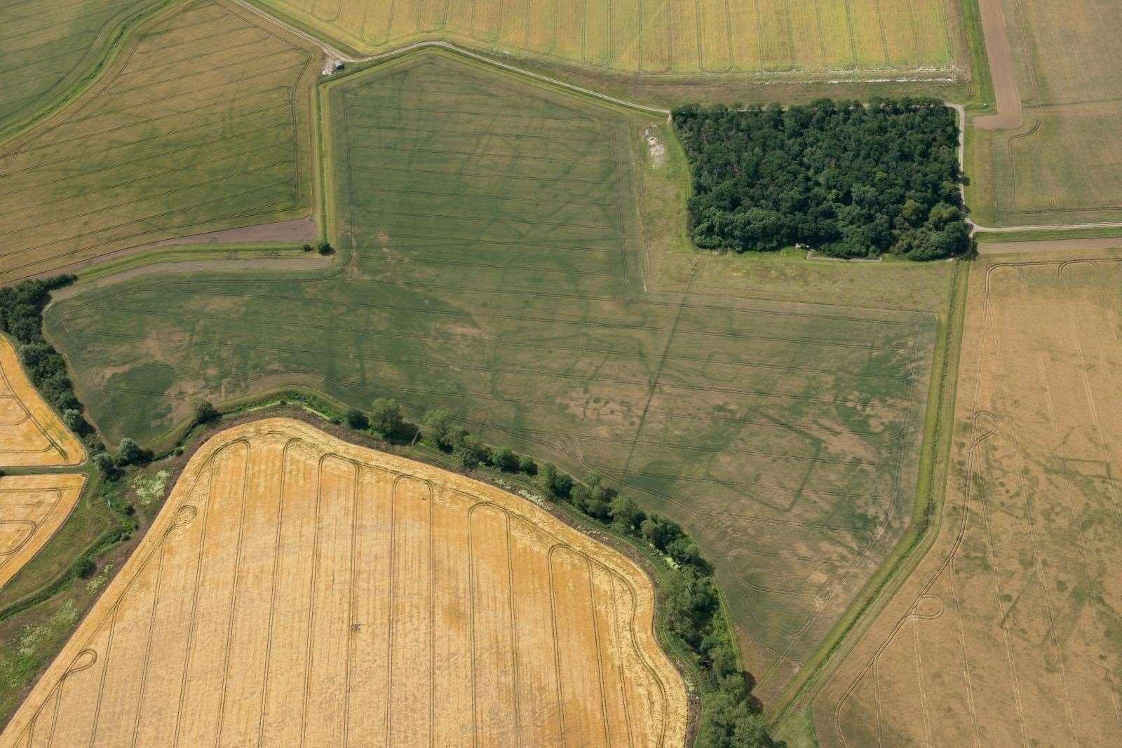 The remains show the extensive streets and buildings of a highly organised Roman settlement (Historic England Archive/PA)