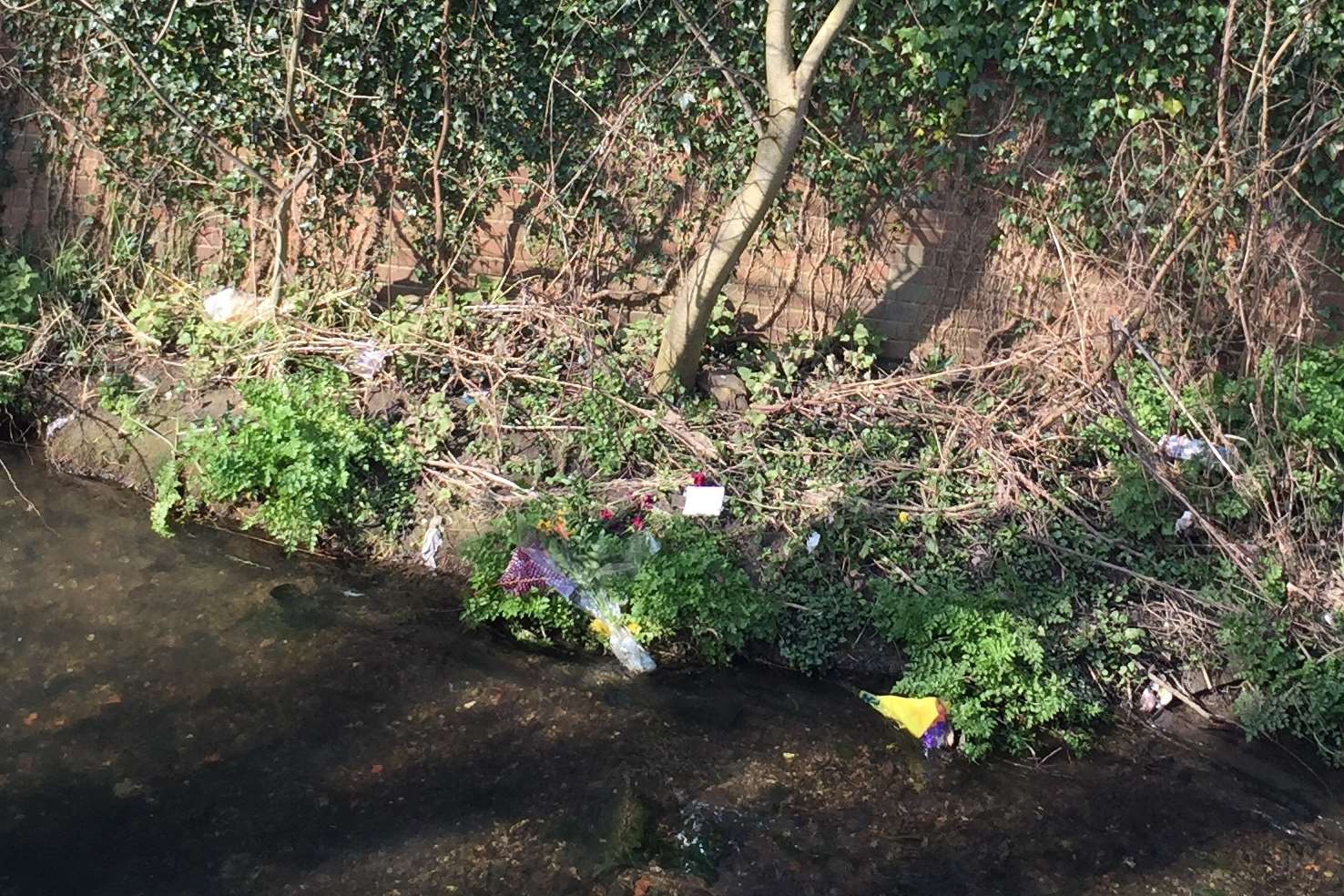 Flowers have been thrown in the stream