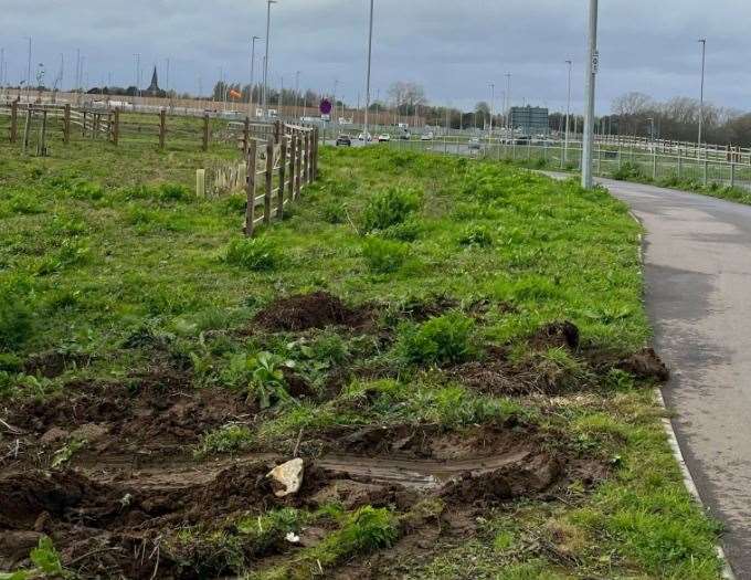 This was how part of the verge looked in Kingsford Street after the lorry mounted the pavement. Picture: Phil Duley