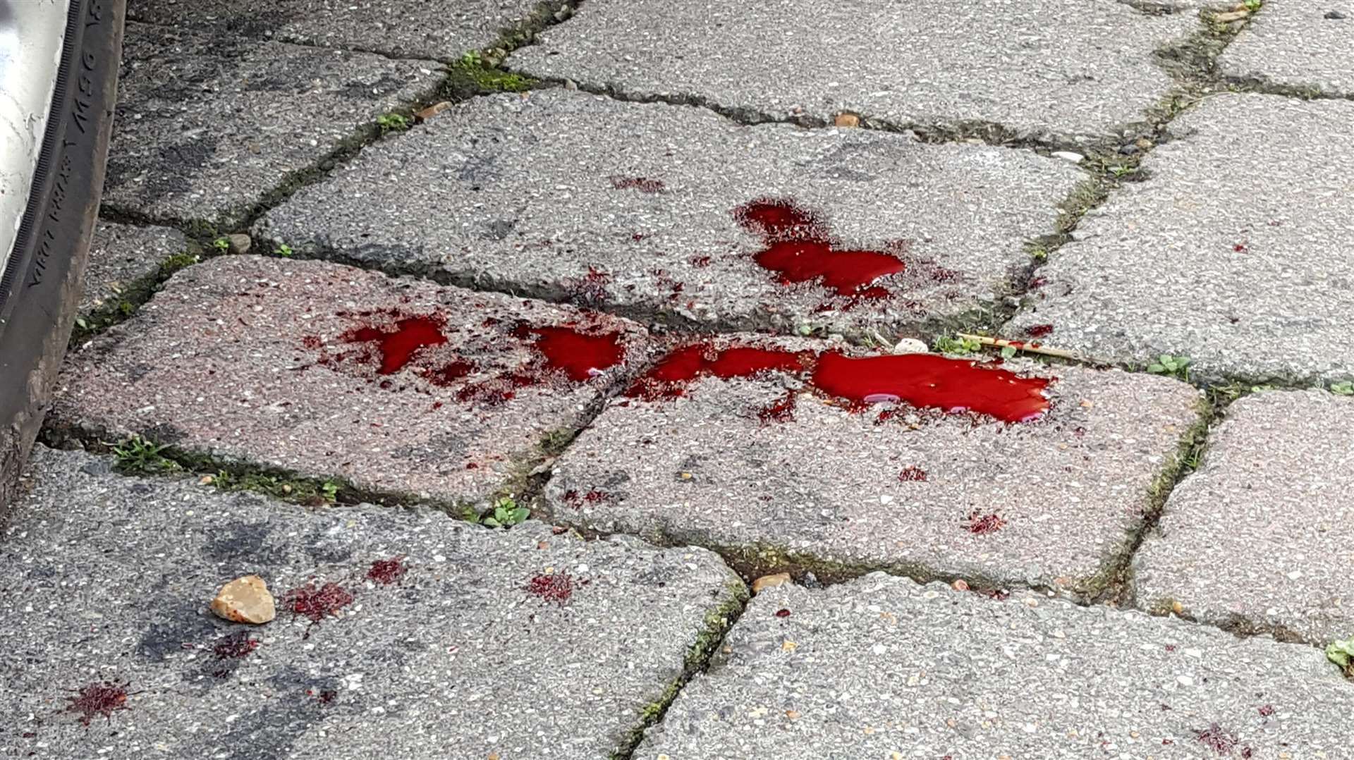 Blood on the drive outside a house on Canterbury Road in Willesborough, Ashford