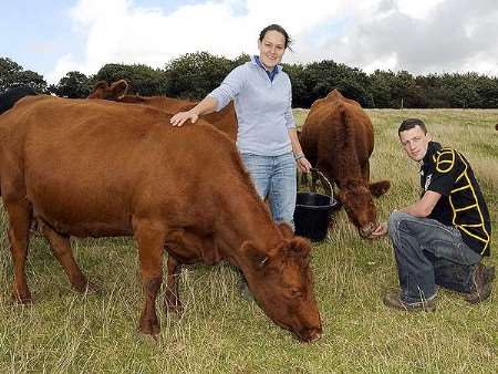 Caroline Tarrant and Alex Richards and some of their Dexter cows
