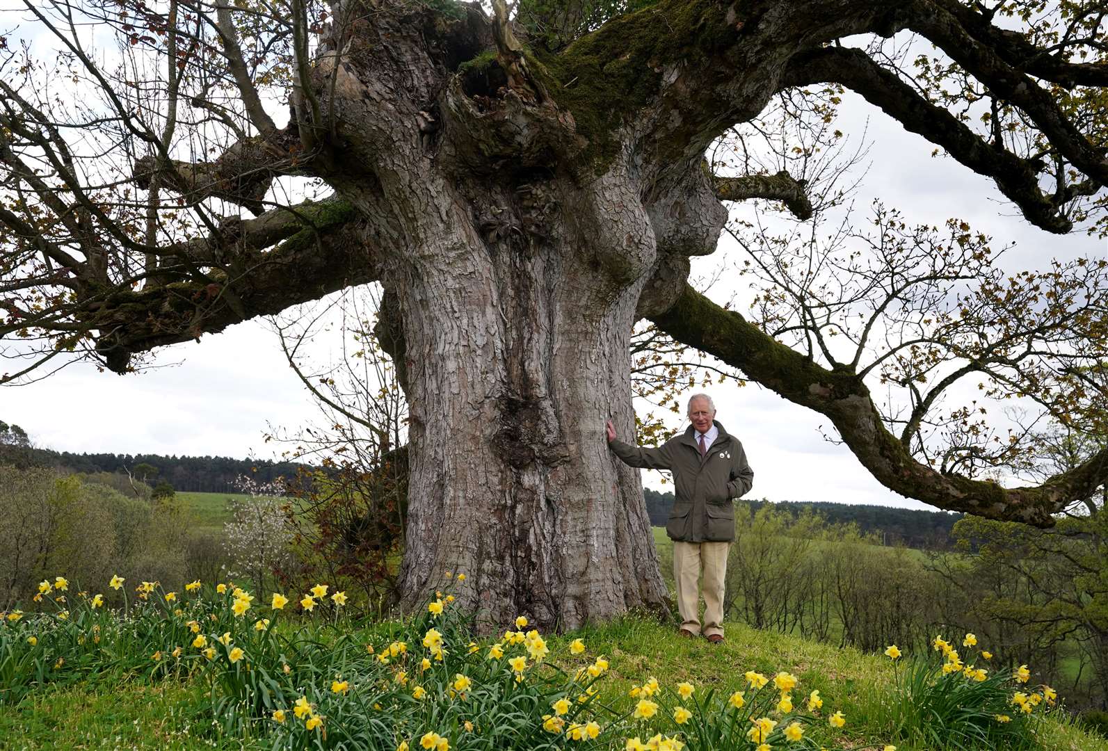 Charles with the ‘Old Sycamore’ in the walled gardens at Dumfries House earlier this year (Andrew Milligan/PA)