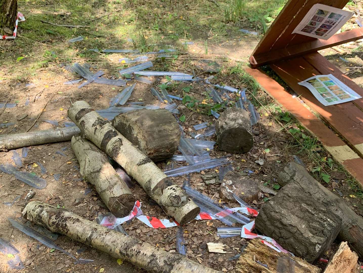 The damage caused at Sevenoaks Nature Reserve. Picture: Kent Wildlife Trust