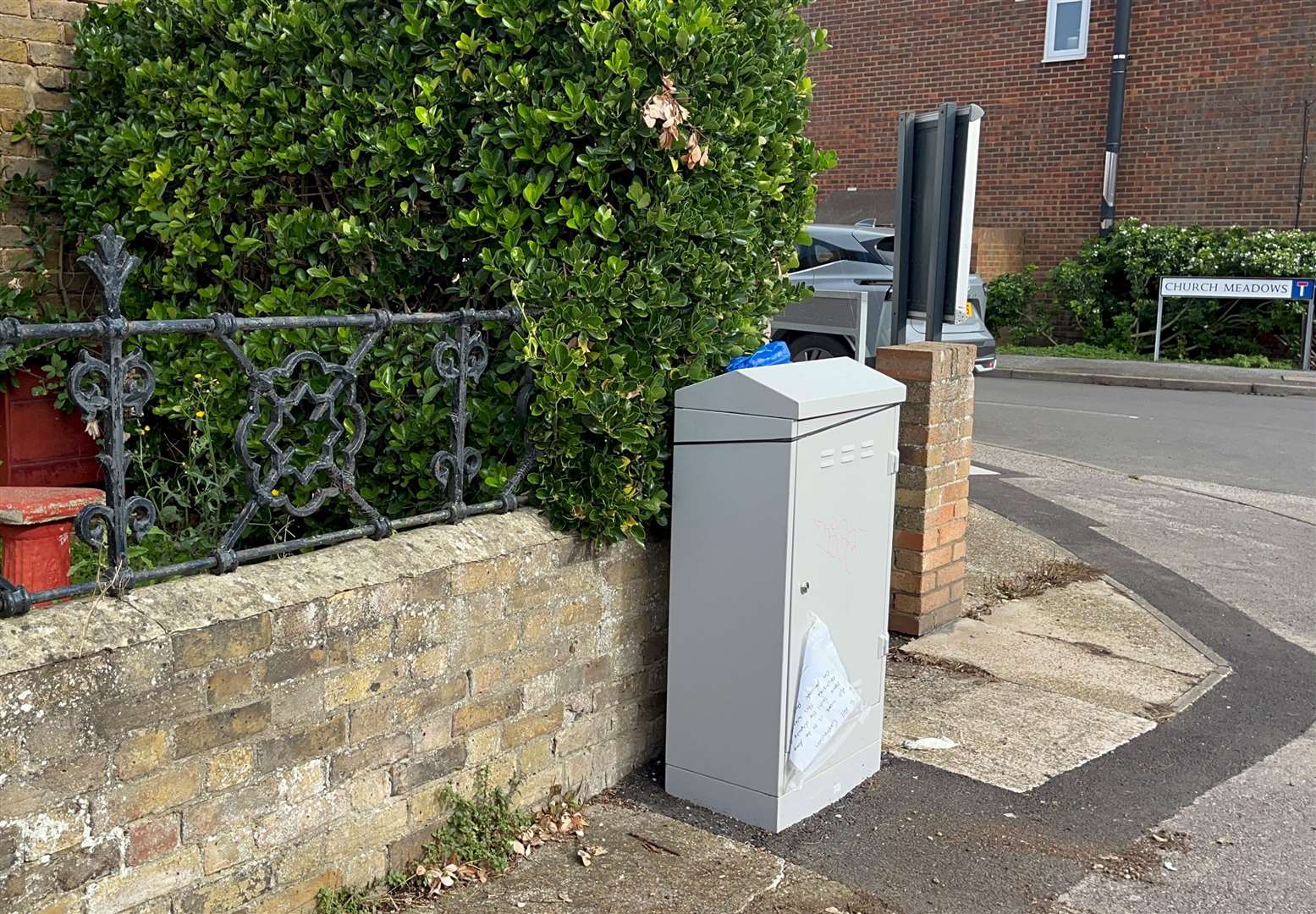 The cabinet is so close to Mr Skinner’s hedge that he cannot trim it