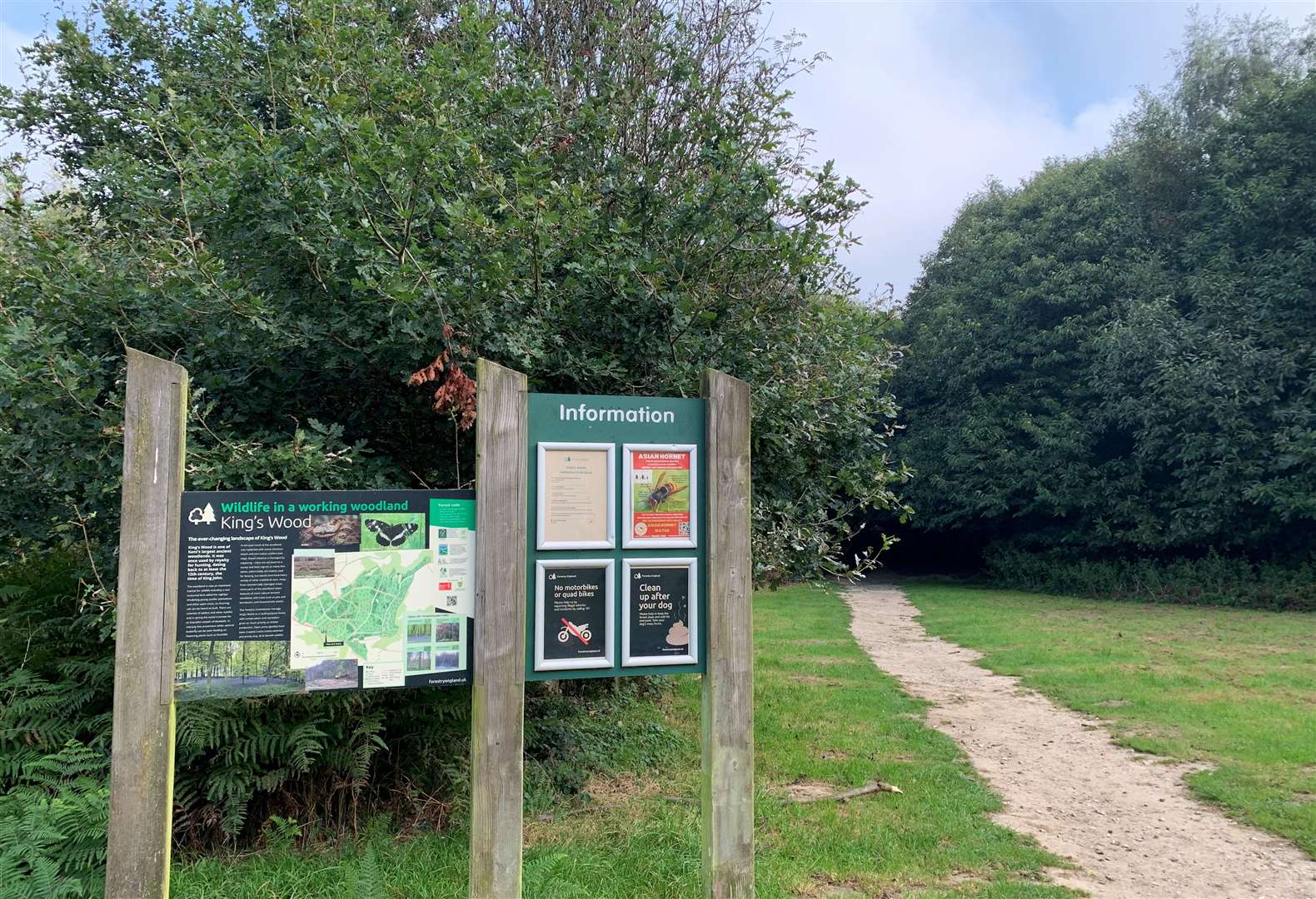 King’s Wood was once the hunting ground of Henry VIII