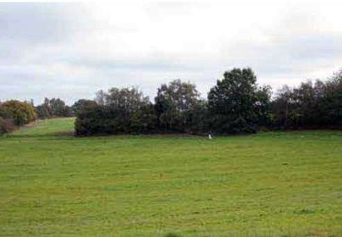 The site proposed for 87 homes at Pembury as it is today