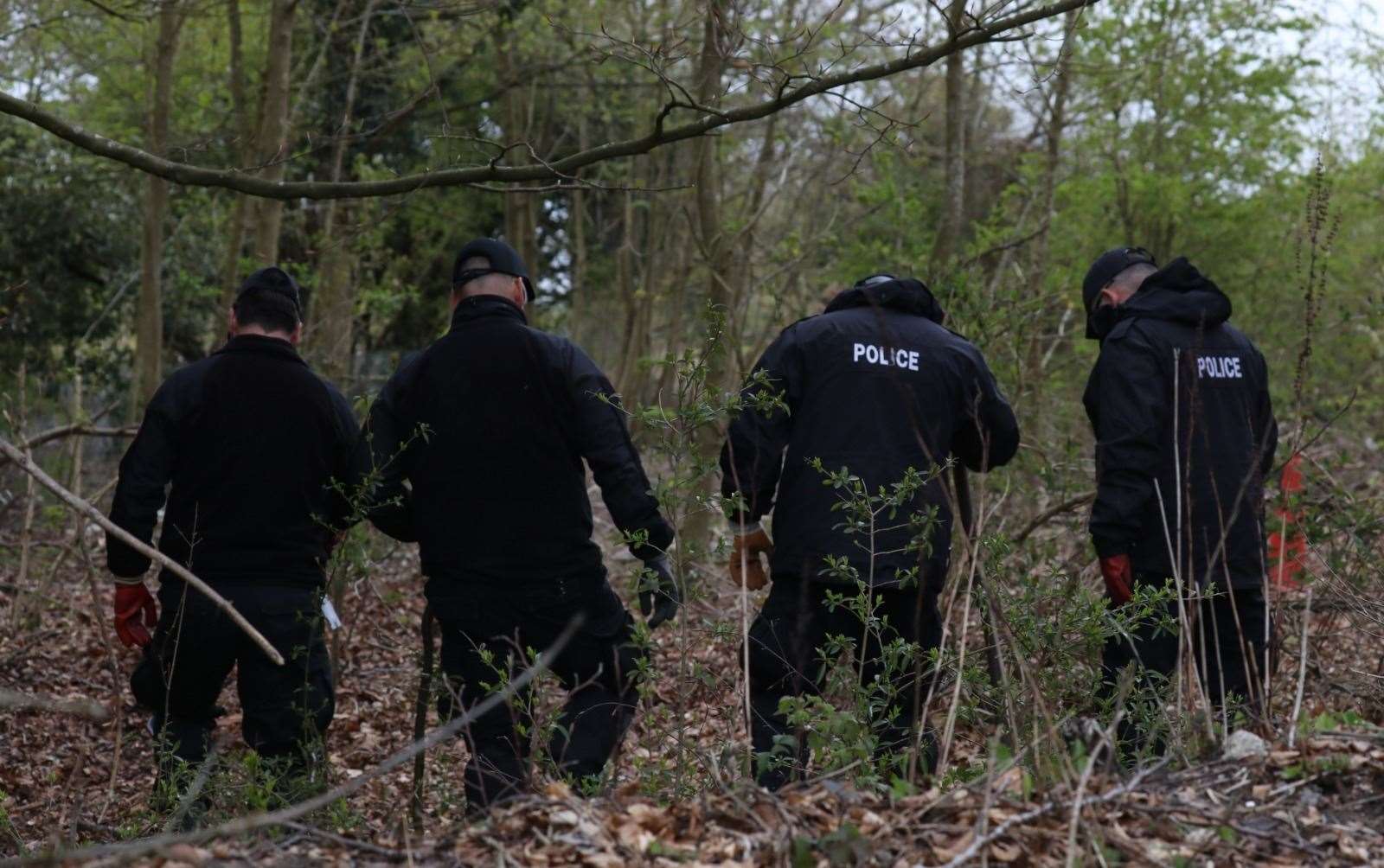 Police search woodland Picture: UKNIP