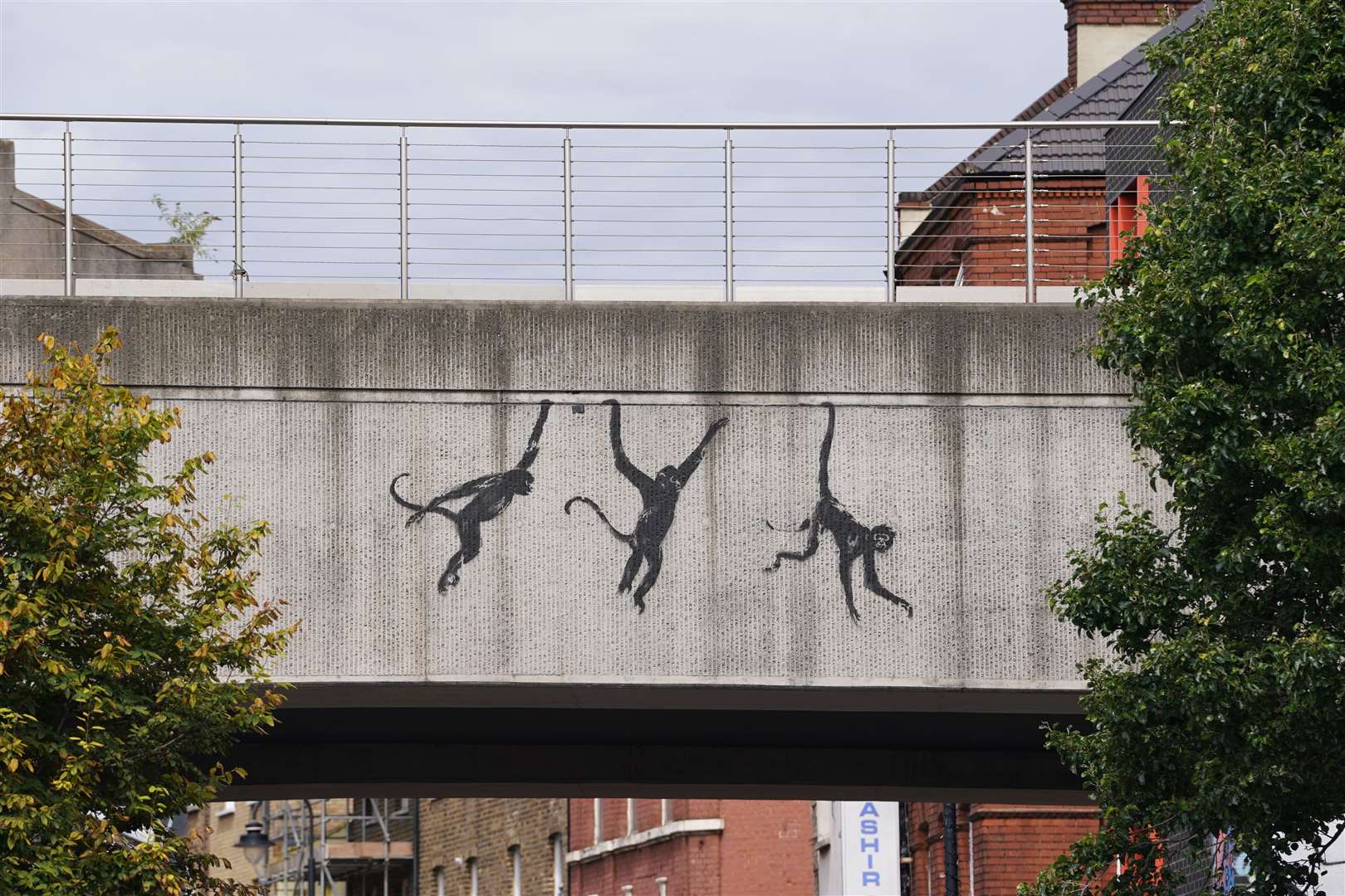 Artwork depicting three monkeys unveiled by Banksy (Lucy North/PA)