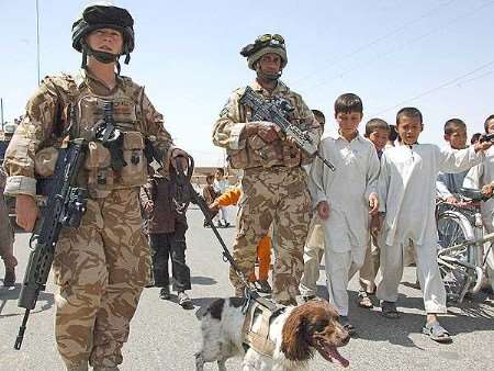 Troops from B Company on patrol in Afghanistan