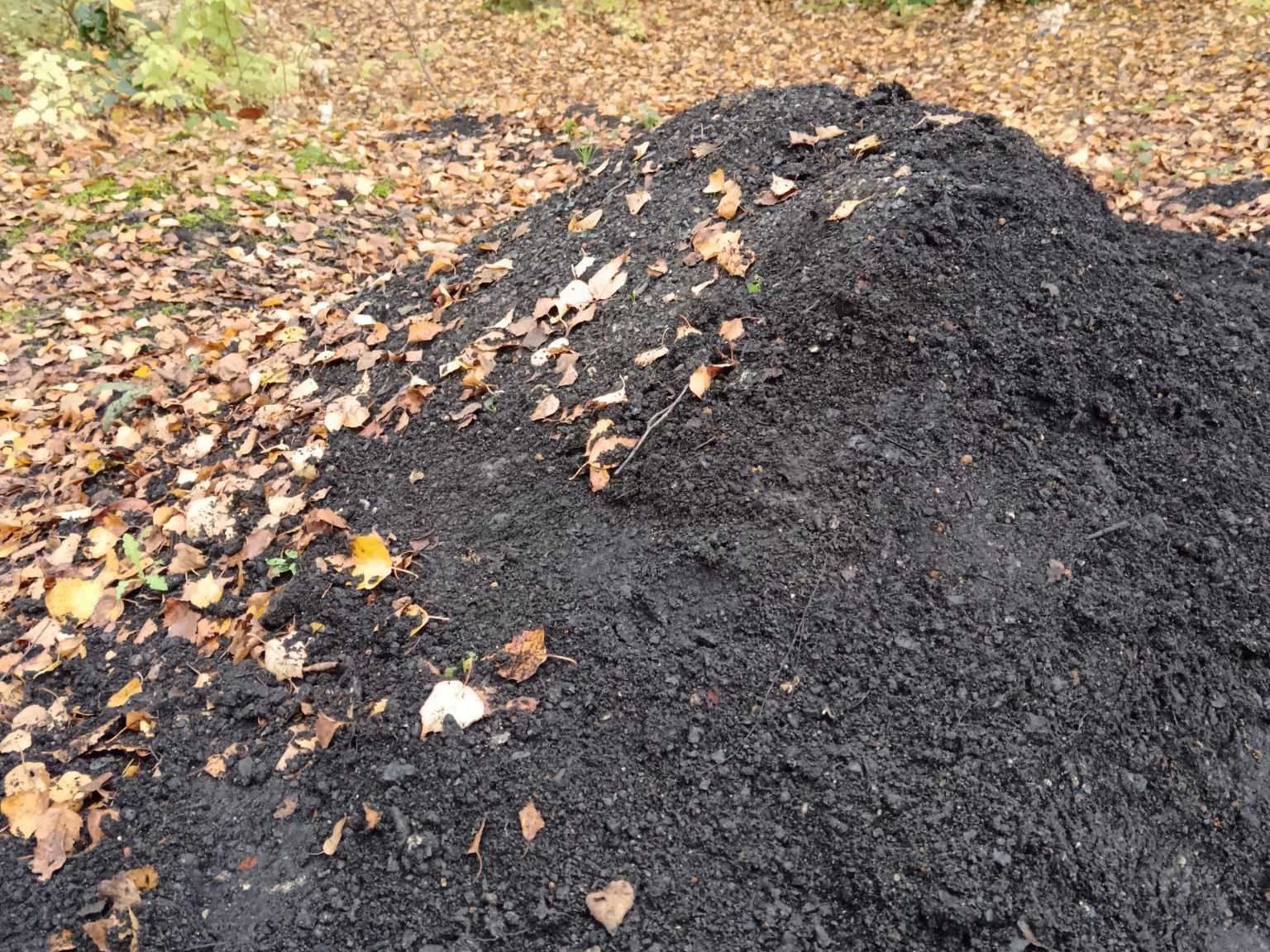 Holborough Reserve near Snodland has also been damaged by bike jumps. Picture: Rosemary Holden