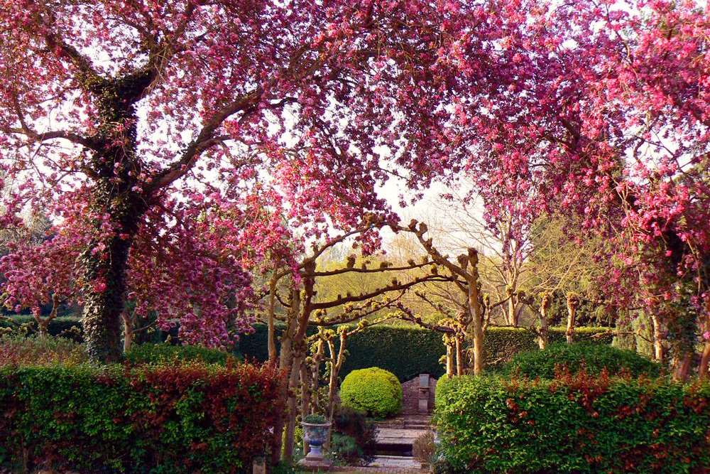 Marle Place Gardens and Gallery, Brenchley, near Paddock Wood