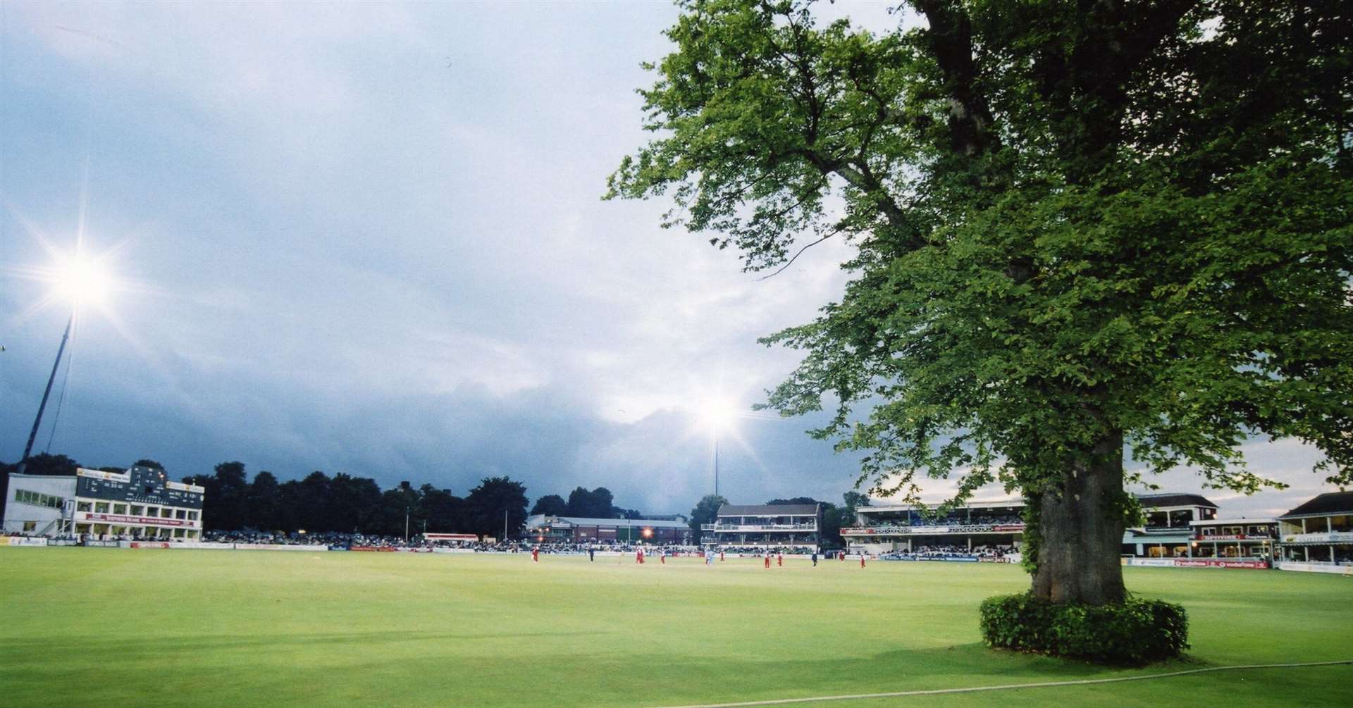 The lime tree stood for at least 150 years before snapping in 2005. Picture: Carolyn Dunne