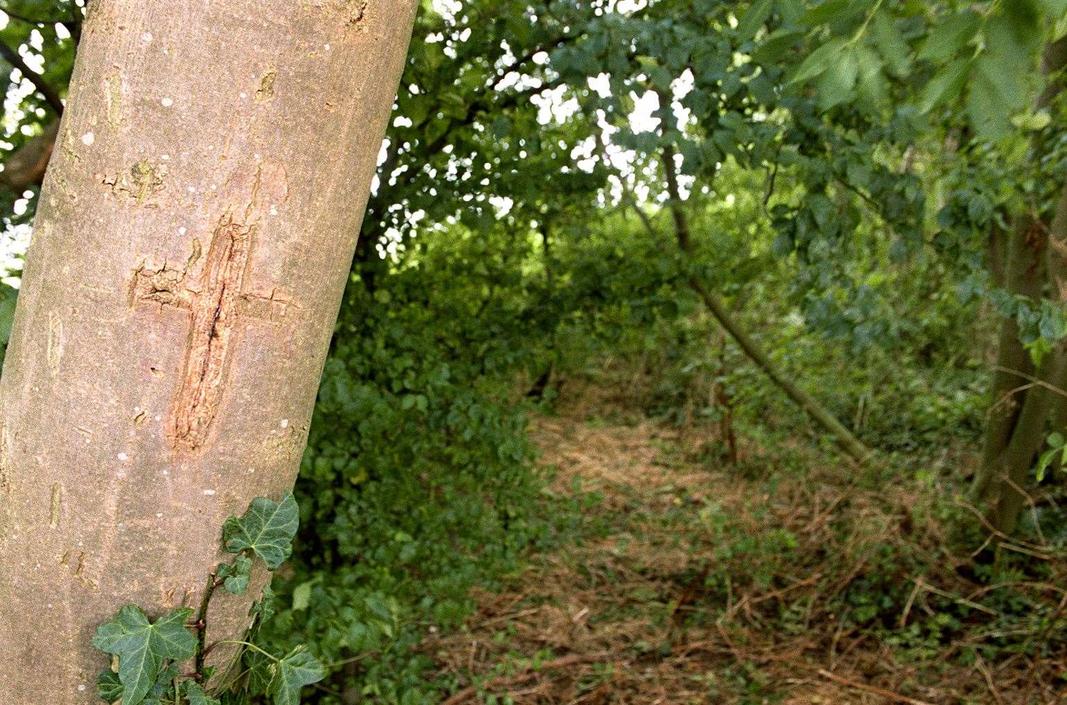 A cross carved into a tree near the scene of the killings