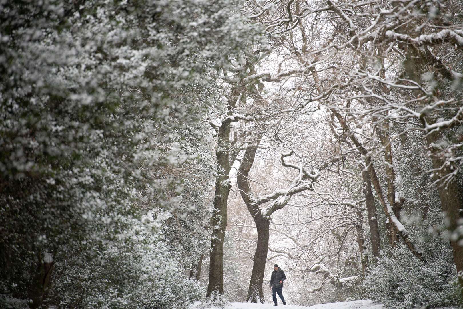 Snow falls as people walk in Sutton Park in Birmingham (Jacob King/PA)